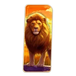 Lion
Safari
